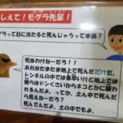 ヒメ日記 2026/08/13 09:15 投稿 あやの 吉原クラブ ジェントルマン