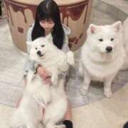 ヒメ日記 2025/02/19 23:28 投稿 ひな 吉原クラブ ジェントルマン