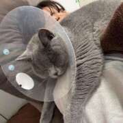 ひびき 猫ぬくい 吉原クラブ ジェントルマン