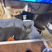 ヒメ日記 2026/02/06 02:03 投稿 ひびき 吉原クラブ ジェントルマン