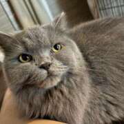 ヒメ日記 2026/04/03 18:59 投稿 ひびき 吉原クラブ ジェントルマン