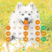 ヒメ日記 2026/10/06 10:50 投稿 りつ 豊満倶楽部