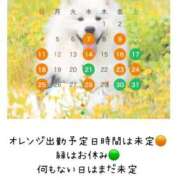 ヒメ日記 2026/10/07 11:06 投稿 りつ 豊満倶楽部
