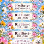ヒメ日記 2026/10/08 00:20 投稿 りつ 豊満倶楽部