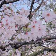 ヒメ日記 2025/04/05 00:58 投稿 のぞみ ヴィヴィッド・クルーマダム・セカンドヴァージン十三店