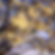 ヒメ日記 2026/04/03 19:26 投稿 のぞみ ヴィヴィッド・クルーマダム・セカンドヴァージン十三店