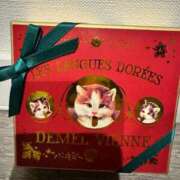 ヒメ日記 2025/11/20 09:13 投稿 ひまり 池袋角海老