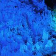 ヒメ日記 2026/01/27 09:24 投稿 ひまり 池袋角海老