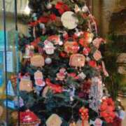 ヒメ日記 2024/12/17 08:32 投稿 小坂きらり しこたま奥様 横浜店