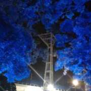 ヒメ日記 2025/01/03 14:52 投稿 小坂きらり しこたま奥様 横浜店