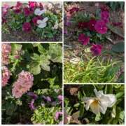 ヒメ日記 2025/02/27 15:22 投稿 小坂きらり しこたま奥様 横浜店