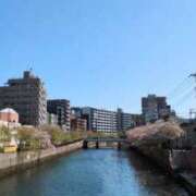 ヒメ日記 2025/04/16 15:25 投稿 小坂きらり しこたま奥様 横浜店