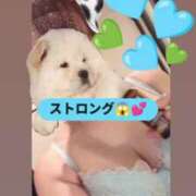 ヒメ日記 2025/07/03 09:22 投稿 小坂きらり しこたま奥様 横浜店