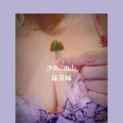 ヒメ日記 2025/11/22 09:52 投稿 小坂きらり しこたま奥様 横浜店