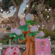 ヒメ日記 2026/02/07 15:22 投稿 小坂きらり しこたま奥様 横浜店