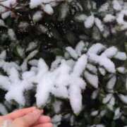 ヒメ日記 2026/02/08 10:40 投稿 小坂きらり しこたま奥様 横浜店