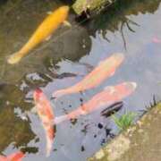 ヒメ日記 2026/02/10 12:42 投稿 小坂きらり しこたま奥様 横浜店