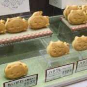 ヒメ日記 2026/02/14 14:19 投稿 小坂きらり しこたま奥様 横浜店