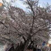 ヒメ日記 2026/04/04 09:32 投稿 小坂きらり しこたま奥様 横浜店