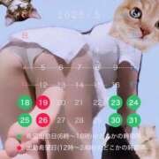 ヒメ日記 2025/05/07 15:38 投稿 りょう The White