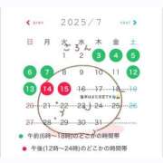 ヒメ日記 2025/06/30 08:01 投稿 りょう The White