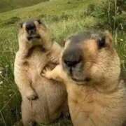 ヒメ日記 2025/09/28 02:59 投稿 りょう The White