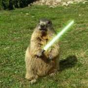 ヒメ日記 2025/10/09 16:25 投稿 りょう The White