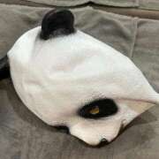 ヒメ日記 2025/11/21 01:29 投稿 りょう The White