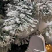 ヒメ日記 2025/12/02 11:32 投稿 りょう The White