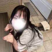 ヒメ日記 2025/12/29 12:04 投稿 りょう The White