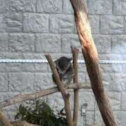 ヒメ日記 2026/03/23 21:21 投稿 りょう The White