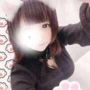 ヒメ日記 2025/04/02 21:31 投稿 ちわわ LEVEL1