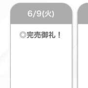 ヒメ日記 2026/06/10 01:37 投稿 かなた【超テクご奉仕で骨抜き】 STELLA TOKYO－ステラトウキョウ－