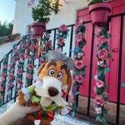 ヒメ日記 2025/08/30 10:24 投稿 あえり 一宮稲沢小牧ちゃんこ