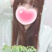 ヒメ日記 2026/03/04 11:47 投稿 くるみ 藤沢人妻城