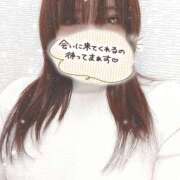 ヒメ日記 2026/04/04 20:44 投稿 くるみ 藤沢人妻城