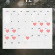 はつね 12月の出勤予定🕊 シャブール