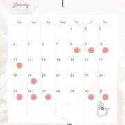 ヒメ日記 2025/12/21 11:30 投稿 はつね シャブール