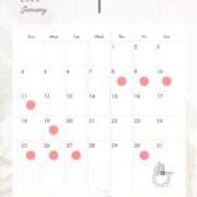 ヒメ日記 2025/12/31 21:29 投稿 はつね シャブール