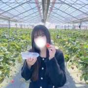 ヒメ日記 2026/03/12 16:29 投稿 すずね E+アイドルスクール船橋店