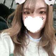 ヒメ日記 2026/02/18 00:16 投稿 るい プリコレ（PRINCESS COLLECTION）