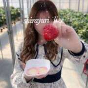 ヒメ日記 2026/03/03 13:00 投稿 白百合　リゼ クラブ　ブレンダ難波店