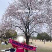 ヒメ日記 2026/03/23 19:02 投稿 白百合　リゼ クラブ　ブレンダ難波店