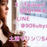 ヒメ日記 2026/01/12 05:31 投稿 さやか マリン土浦本店