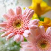 ヒメ日記 2024/12/06 22:10 投稿 新人・雨依(うい) グランドオペラ福岡