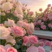 ヒメ日記 2024/12/17 02:21 投稿 新人・雨依(うい) グランドオペラ福岡