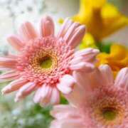 ヒメ日記 2024/12/21 03:41 投稿 新人・雨依(うい) グランドオペラ福岡