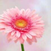 ヒメ日記 2025/01/08 13:02 投稿 新人・雨依(うい) グランドオペラ福岡