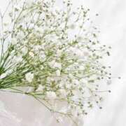 ヒメ日記 2025/02/19 00:54 投稿 新人・雨依(うい) グランドオペラ福岡