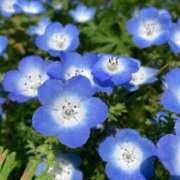 ヒメ日記 2025/02/22 23:43 投稿 新人・雨依(うい) グランドオペラ福岡